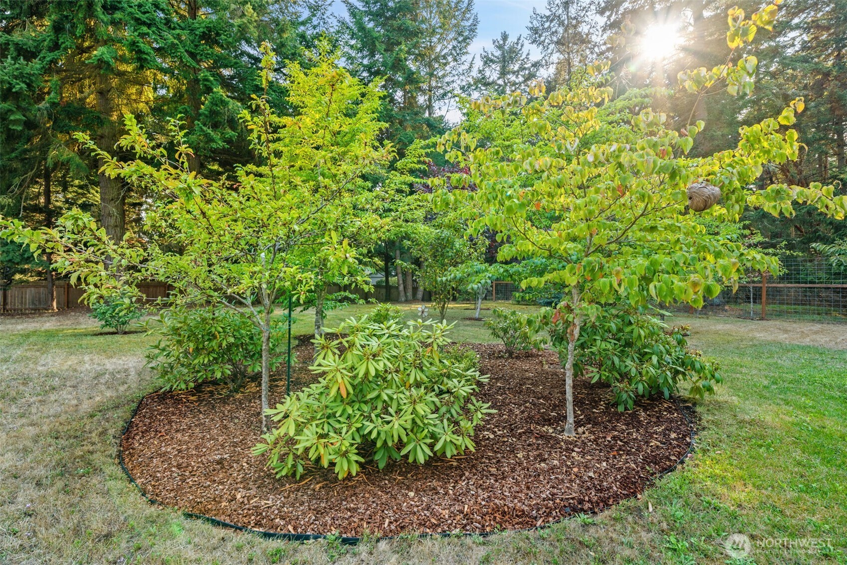 383 Kirner Road Sequim, WA 98382 - Photo 31 of 40 a view of a plants with large trees