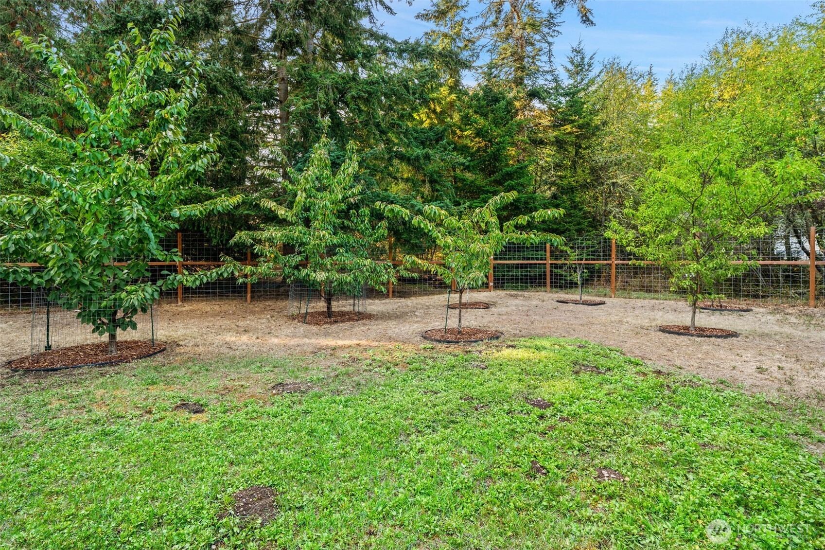 383 Kirner Road Sequim, WA 98382 - Photo 32 of 40 a view of backyard with green space