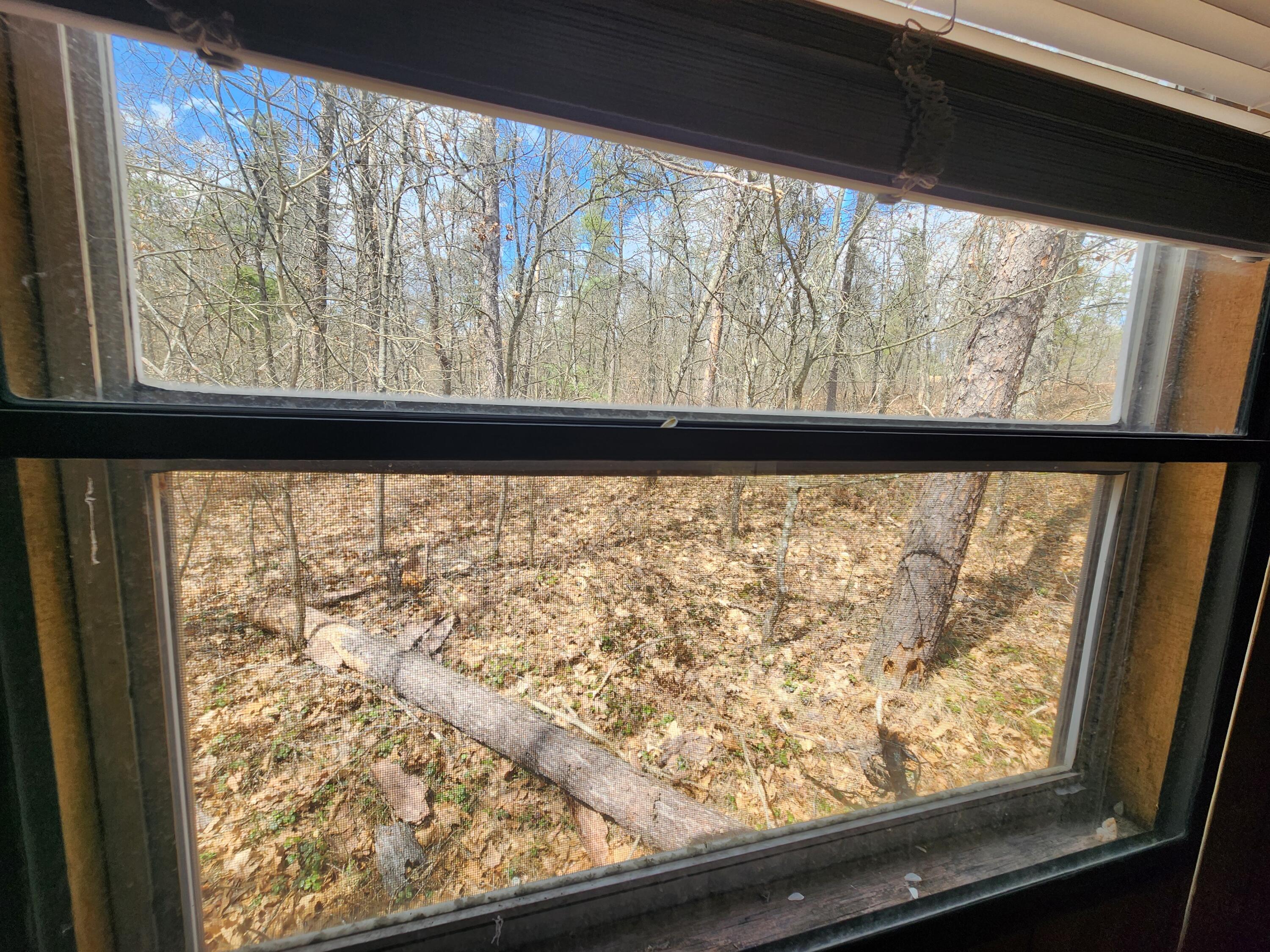 1531 Hardy Grade Road Curran, MI 48728 - Photo 22 of 42 Gallery Image 22