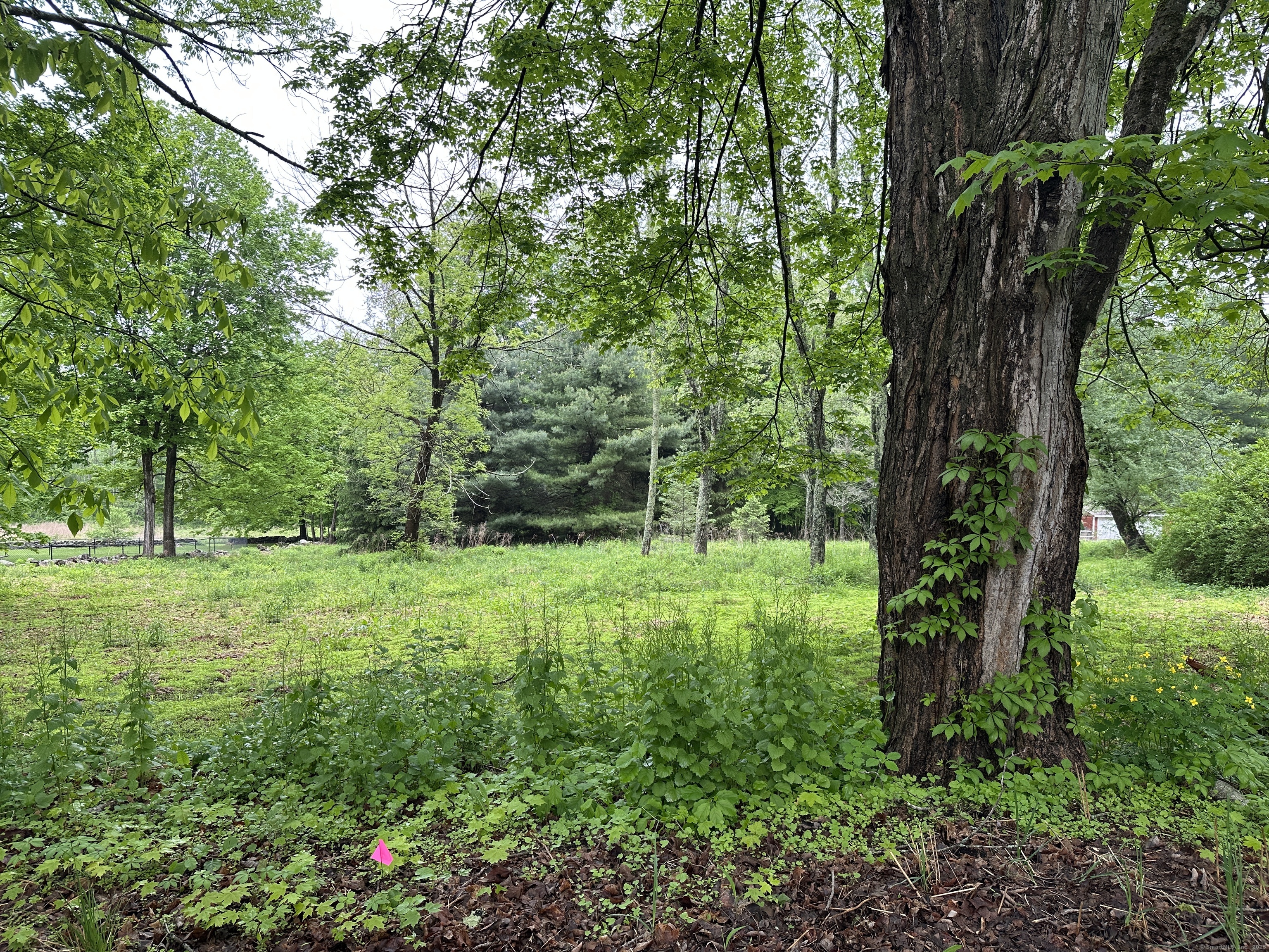 Prospect Hill Road Colchester, CT 06415 - Photo 1 of 1 Gallery Image 1