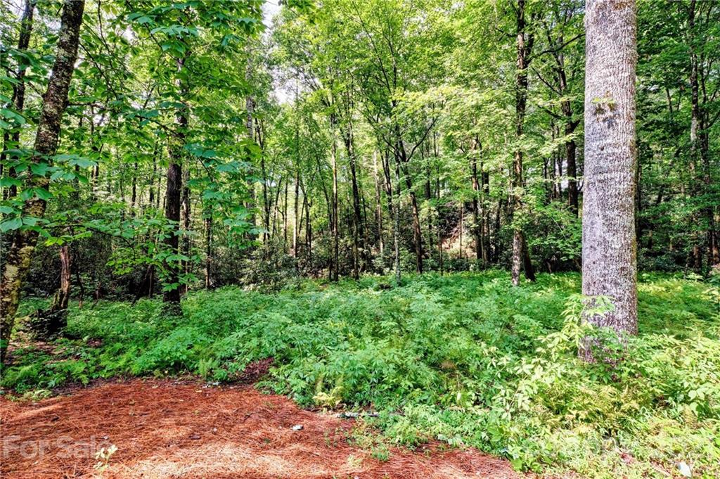 29 Leaning Tree Road Sapphire, NC 28774 - Photo 24 of 28 Gallery Image 24