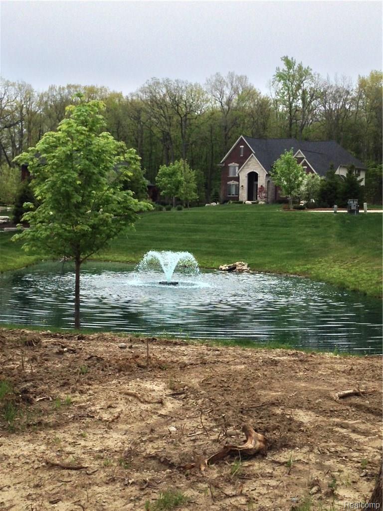 5695 Sovereign Drive Rochester, MI 48306 - Photo 35 of 39 pond2.jpg