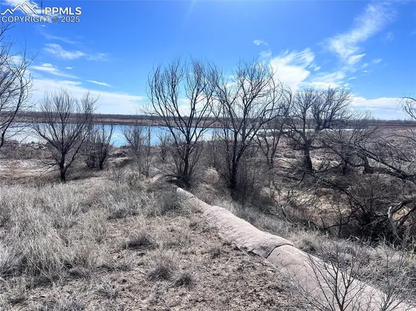 a view of a backyard of the house