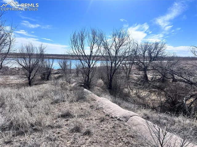 a view of a backyard of the house