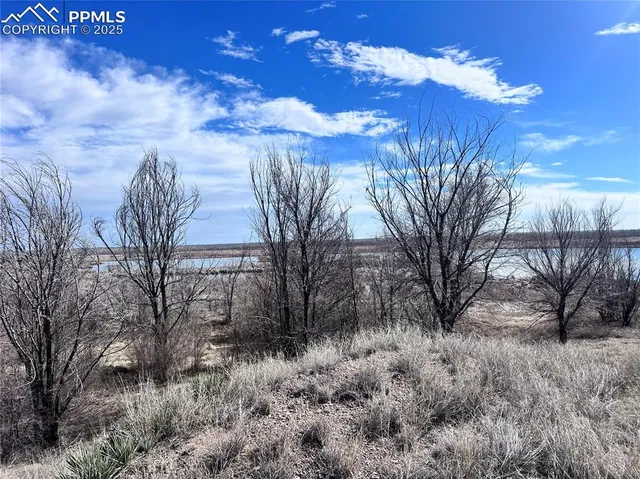 a view of a backyard of a house