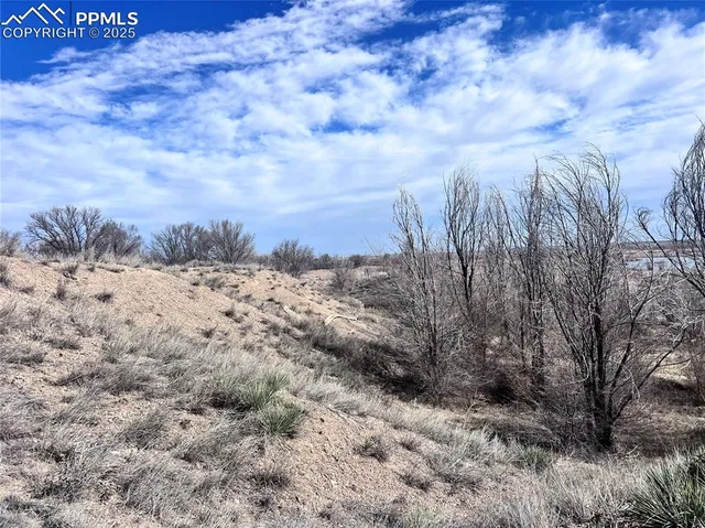 a view of a dry yard covered with snow in the background