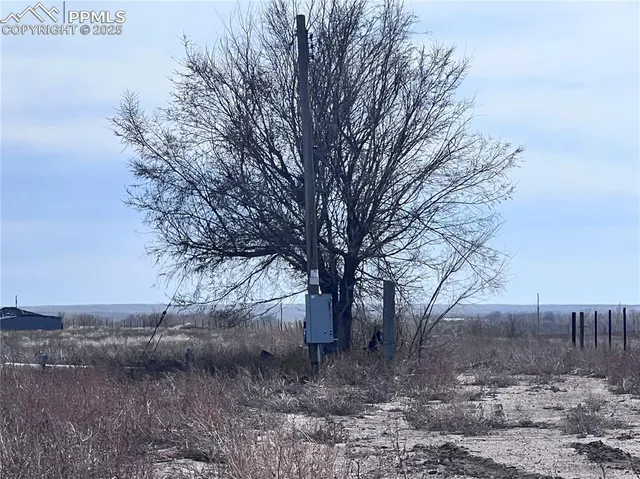 a view of outdoor space with trees