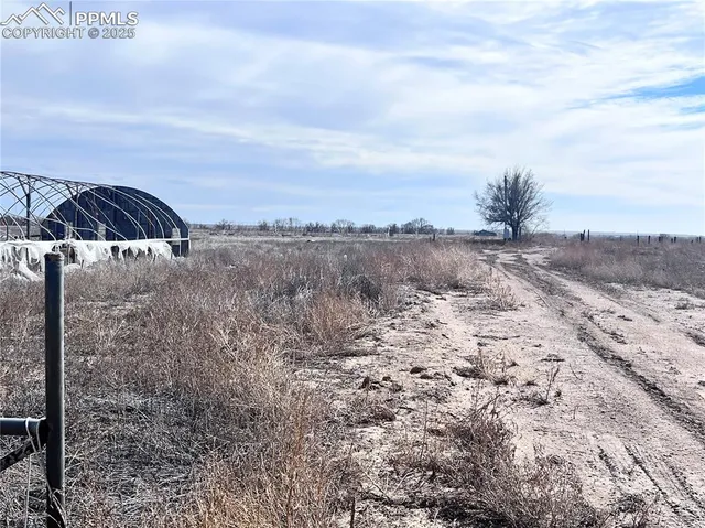 a view of a dry yard with wooden fence