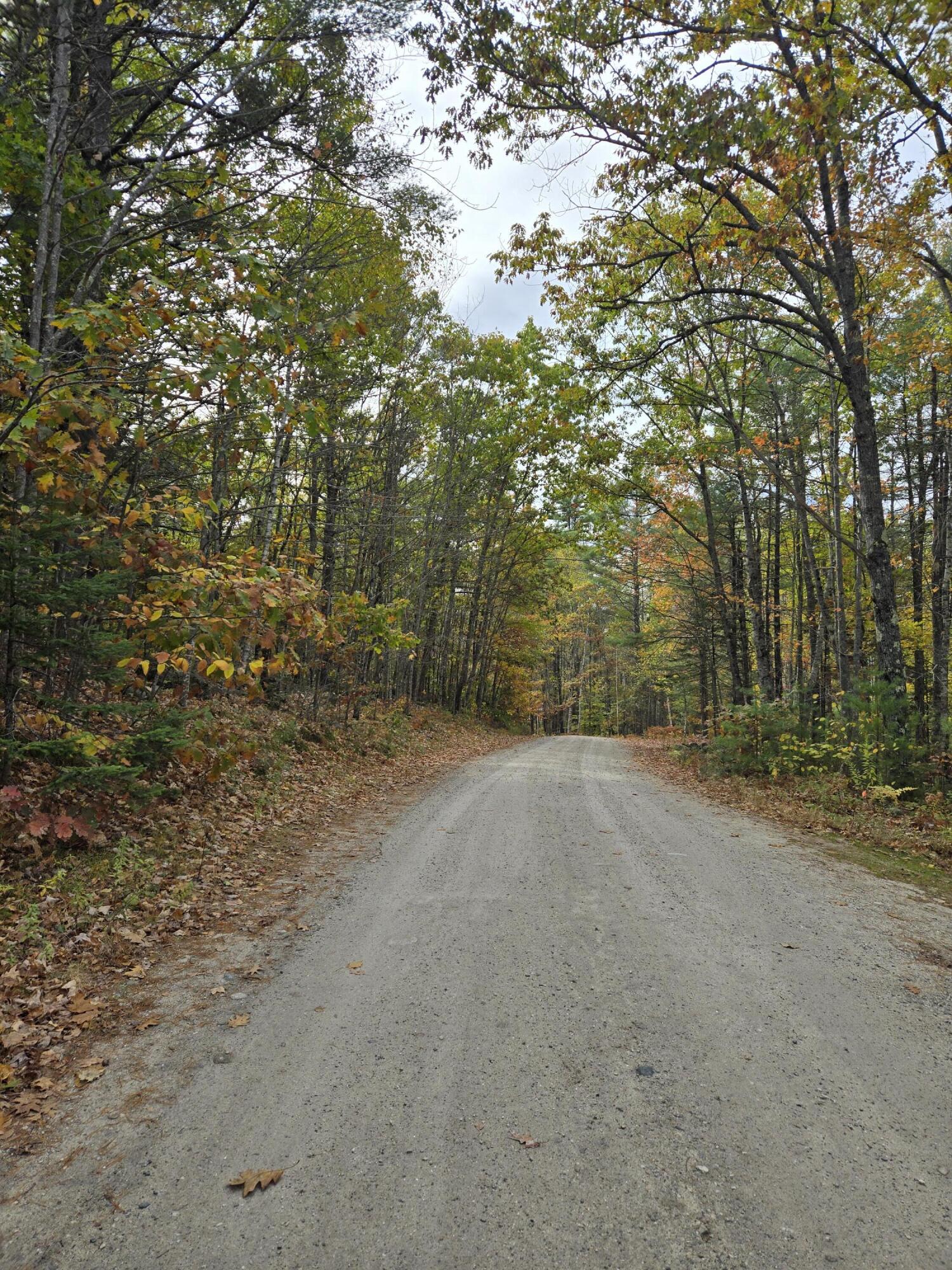 133 Plantation Lane Brownfield, ME 04010 - Photo 2 of 5 20251014_123101