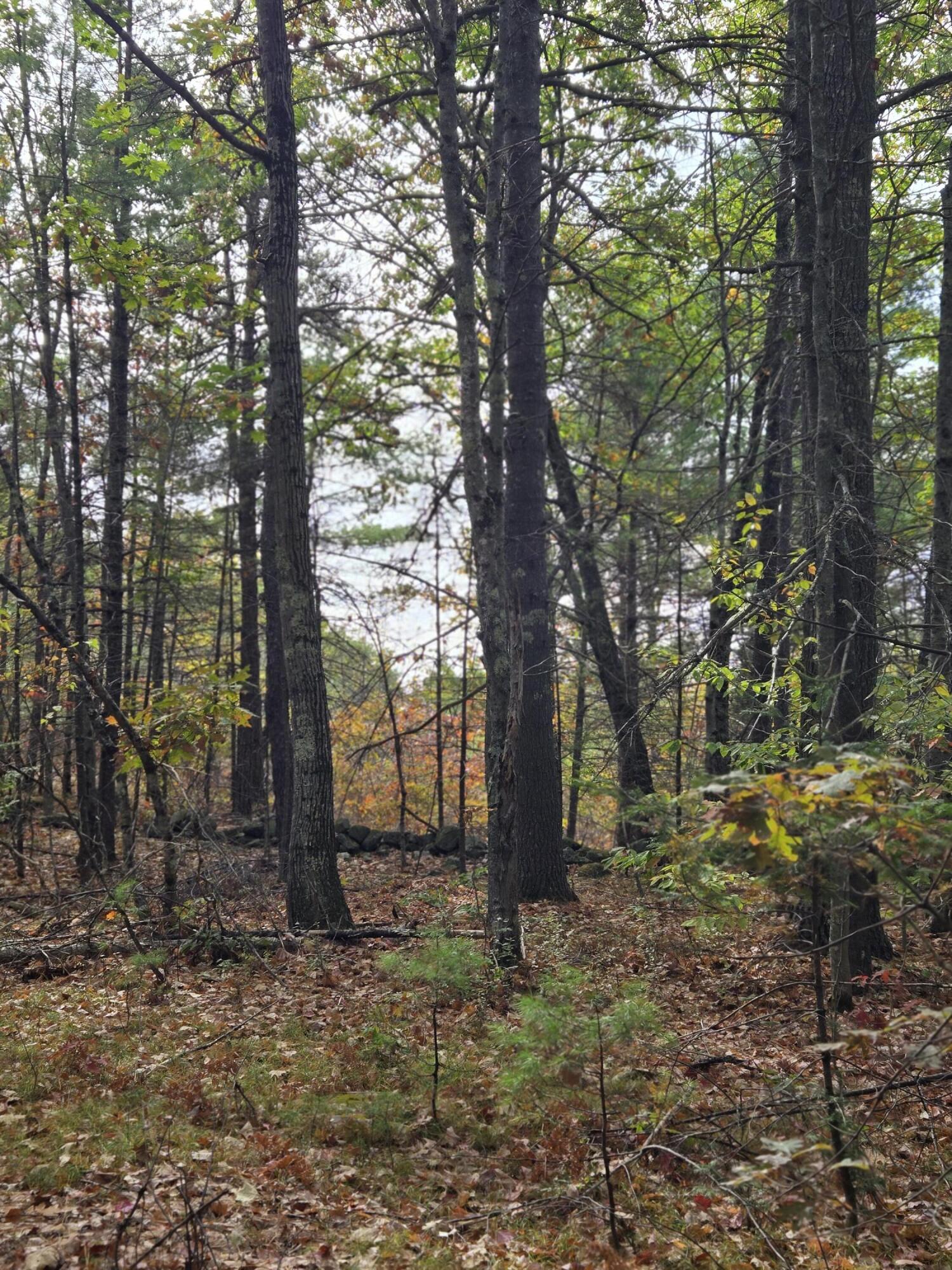 133 Plantation Lane Brownfield, ME 04010 - Photo 4 of 5 20251014_123342