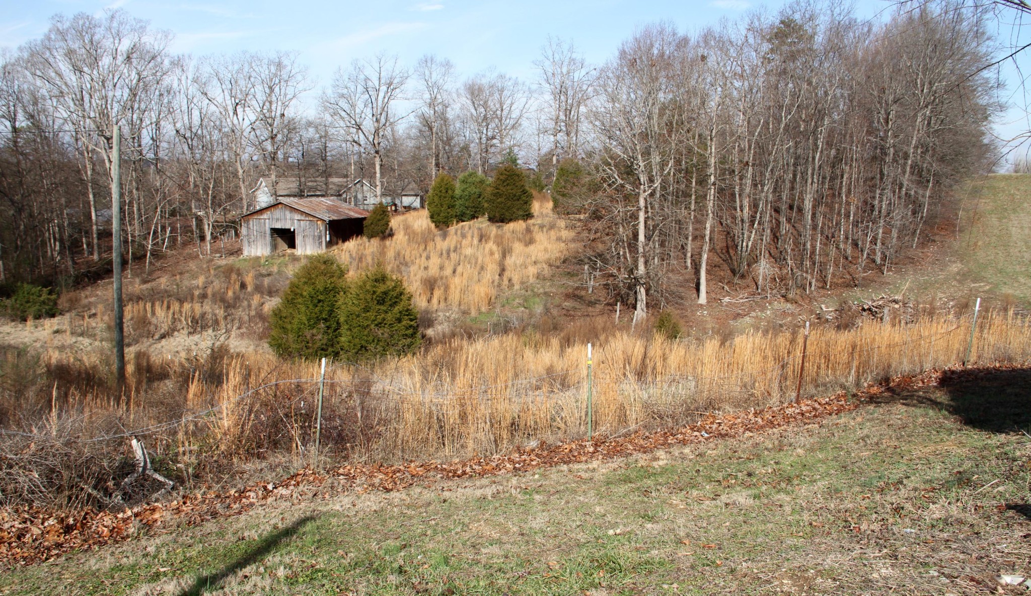 1295 Zion Ridge Road Loudon, TN 37774 - Photo 30 of 40 a view of mountains in the background of a yard