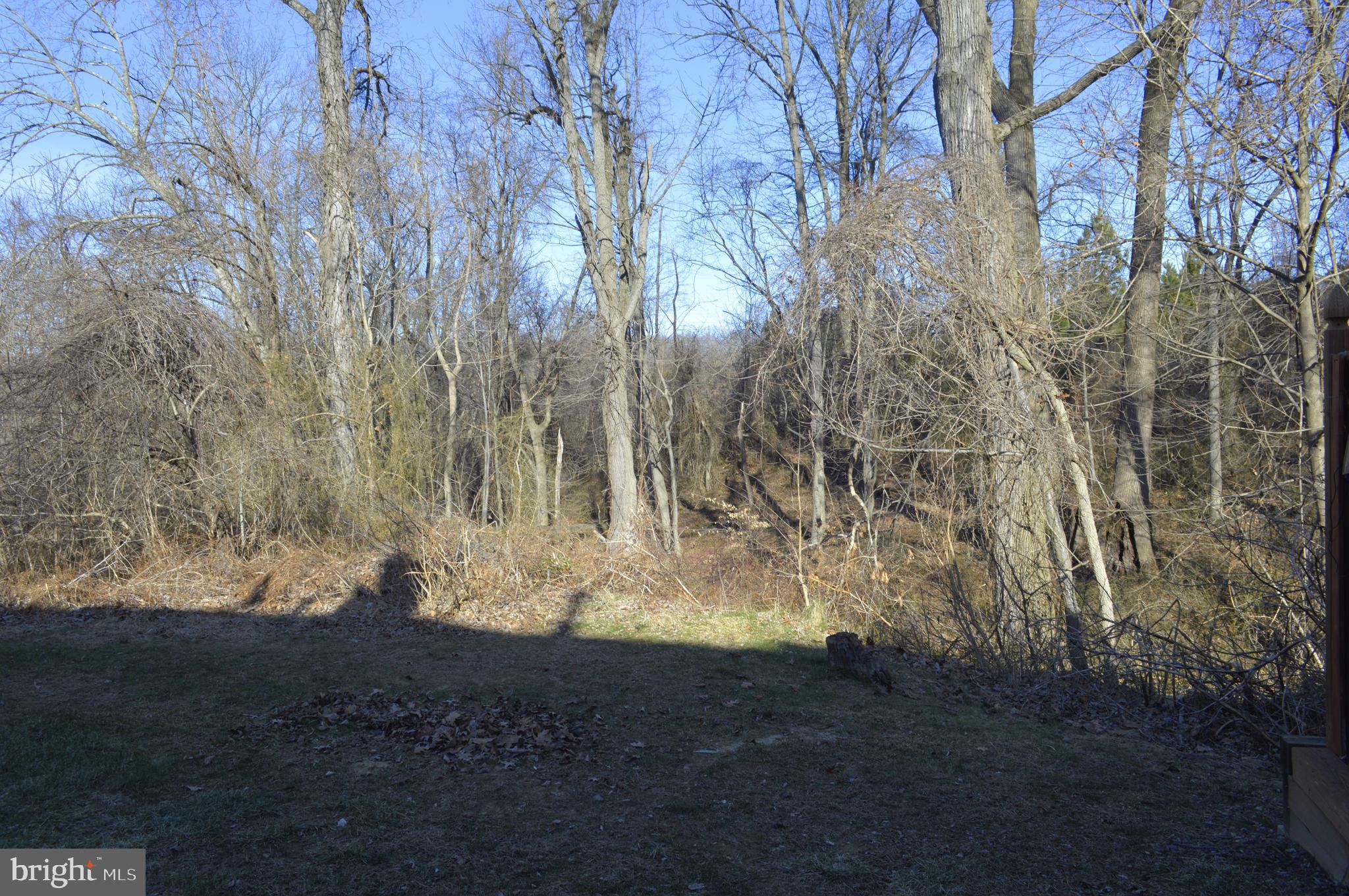 59 Windingbrook Road Bordentown, NJ 08505 - Photo 60 of 64