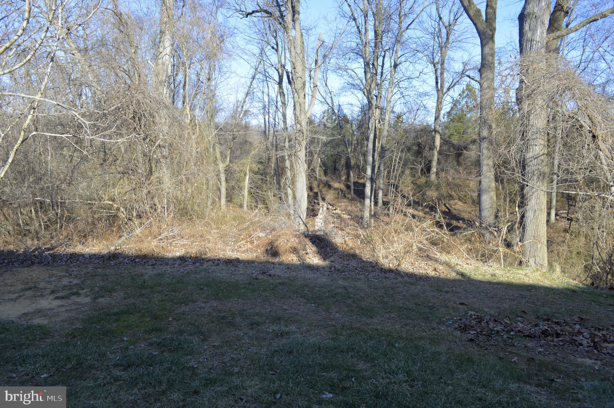 59 Windingbrook Road Bordentown, NJ 08505 - Photo 61 of 64