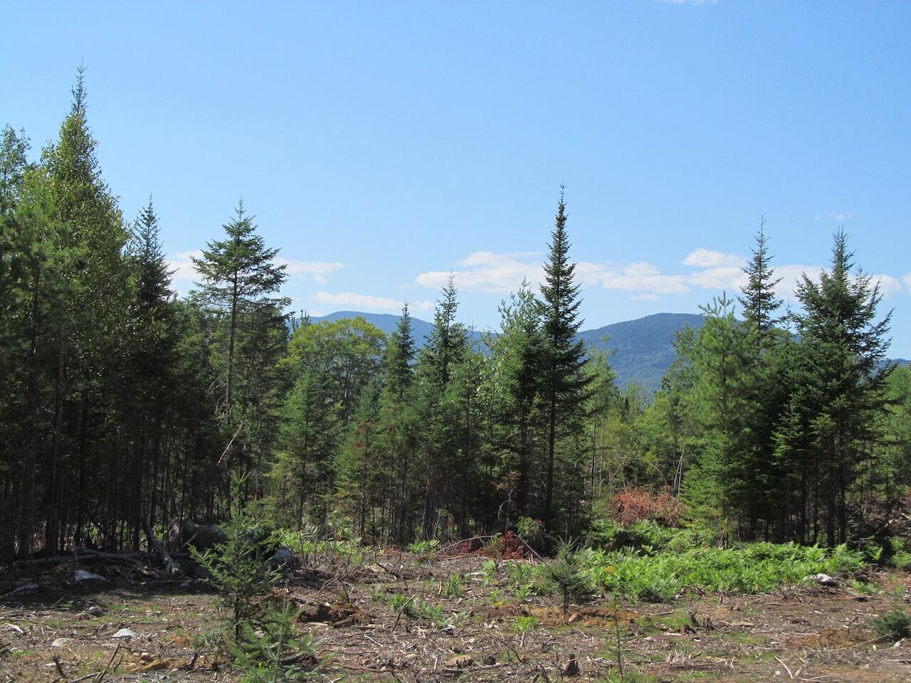 929 Center Hill Road Weld, ME 04285 - Photo 8 of 20