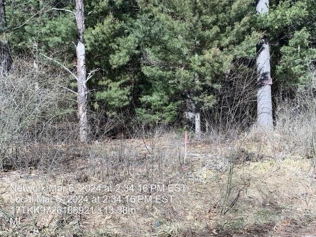 0 East Timreck Road, Unit PARCEL A Tawas City, MI 48763 - Photo 6 of 6