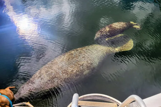 $1,649,000 | 1112 Grand Street, Unit AND HALF LOT, Key Largo, FL 33037