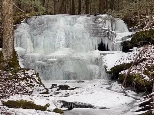 Hill Road Halcottsville, NY 12438 - Photo 2 of 15 Gallery Image 2