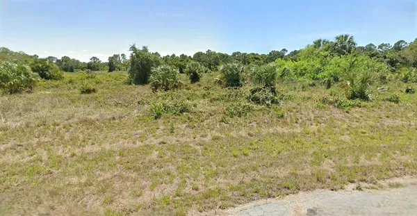 a view of a field with trees in the background