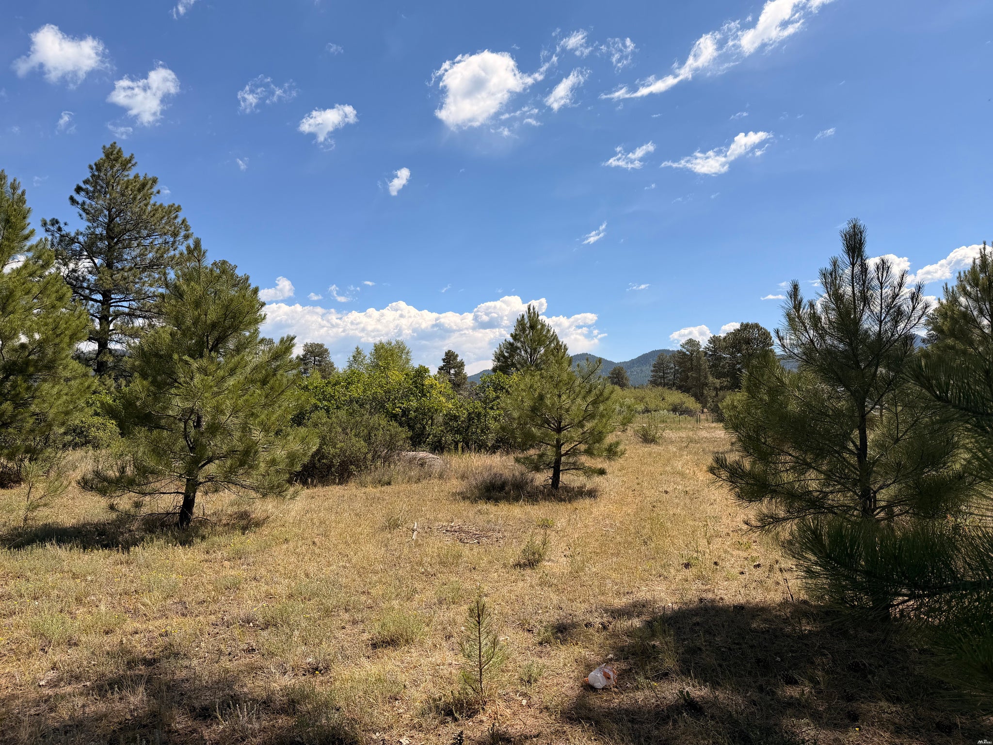 857 3rd Street Chama, NM 87520 - Photo 3 of 8 Gallery Image 3