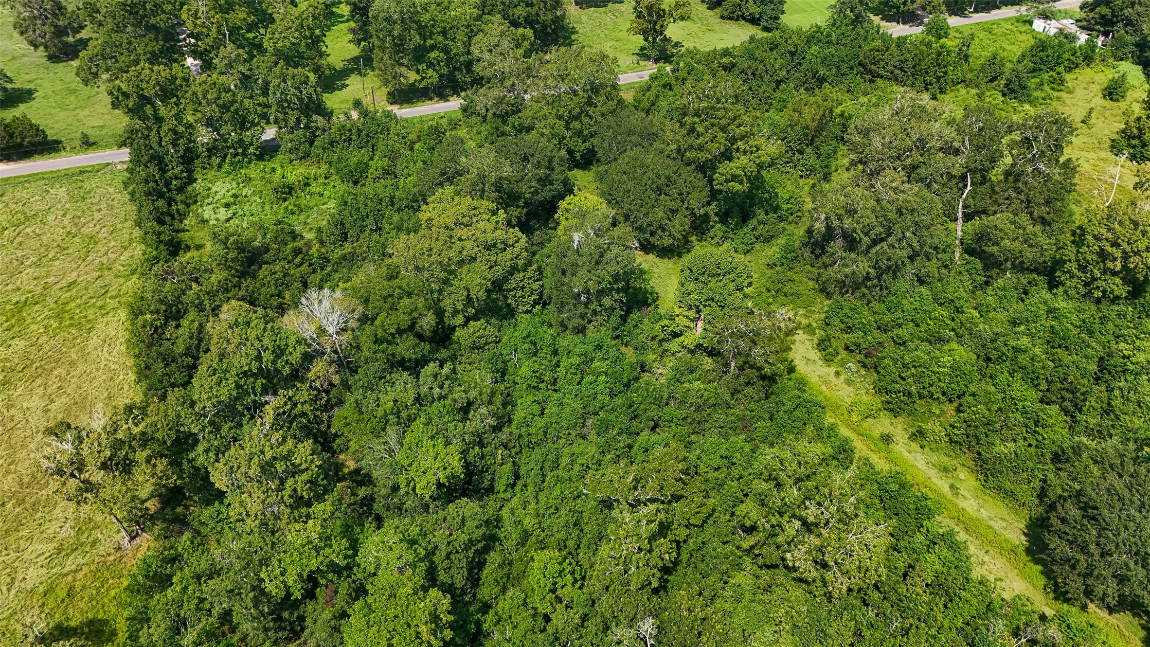 1401 County Road 2061 Hull, TX 77564 - Photo 11 of 29