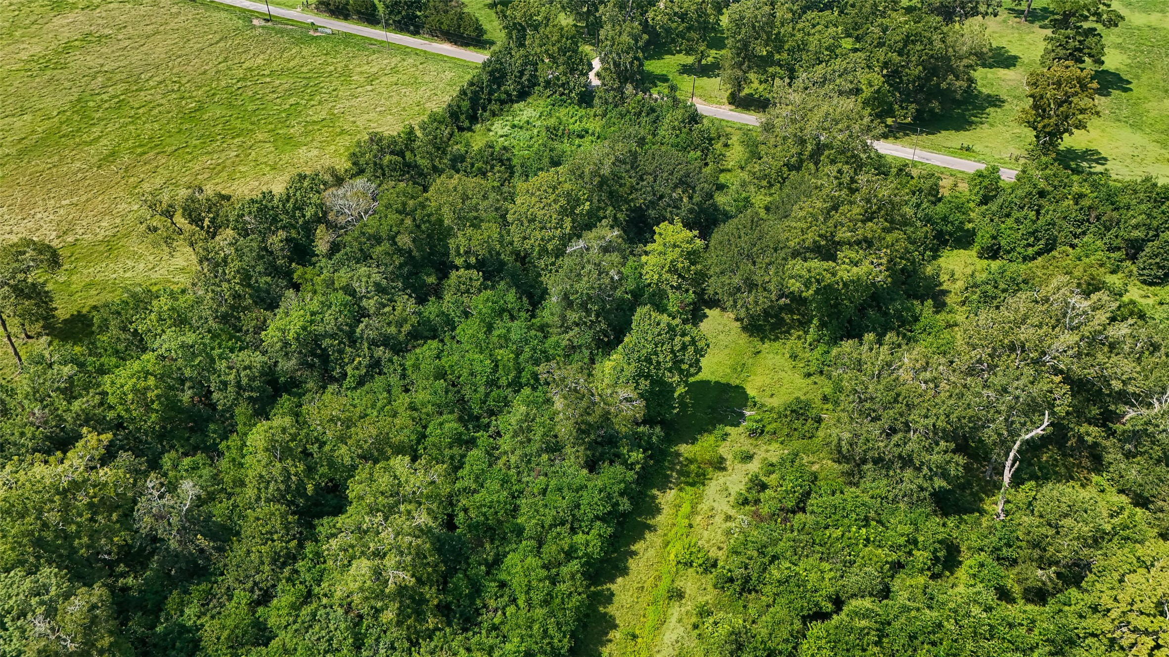 1401 County Road 2061 Hull, TX 77564 - Photo 12 of 29