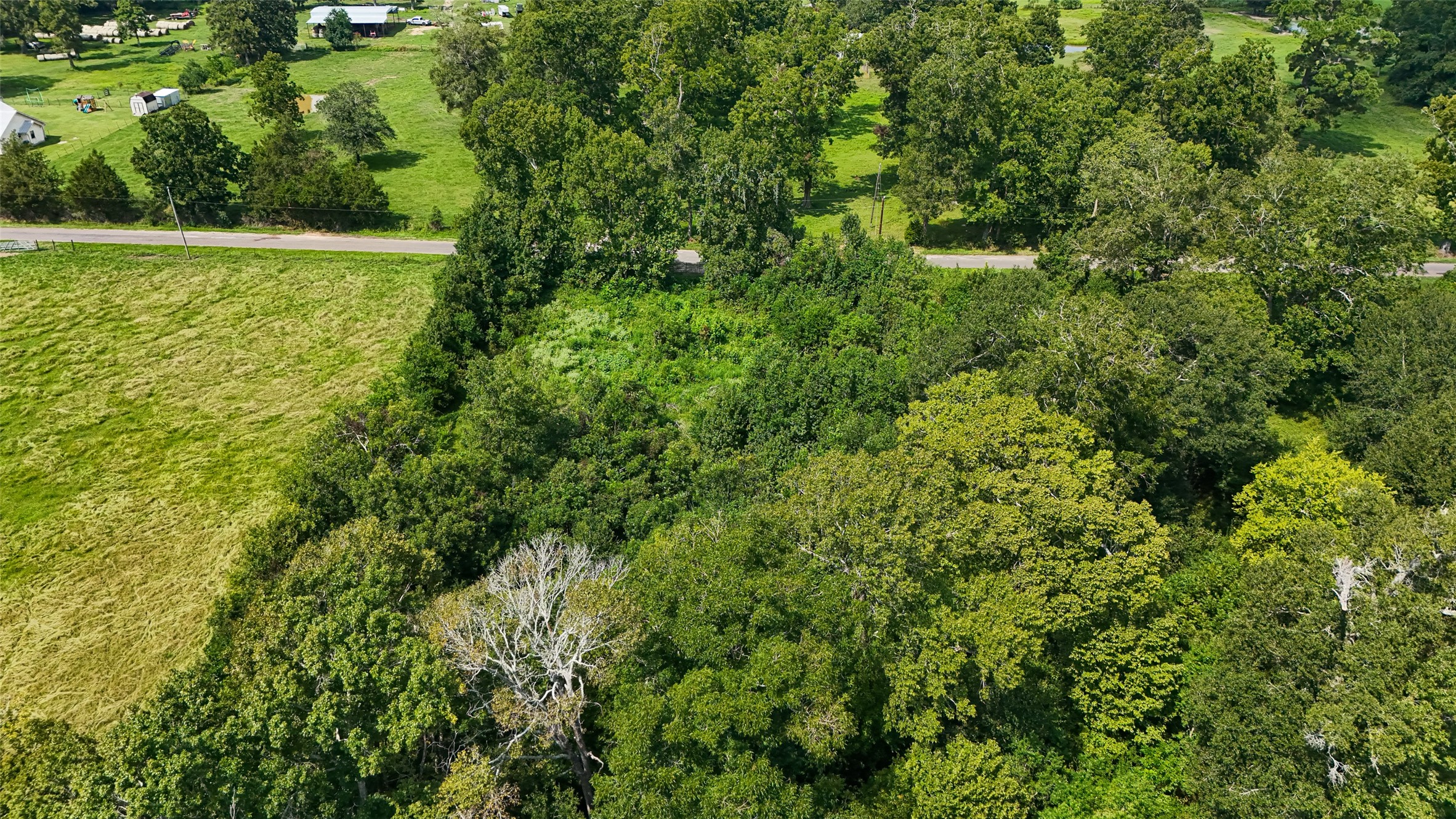 1401 County Road 2061 Hull, TX 77564 - Photo 4 of 29