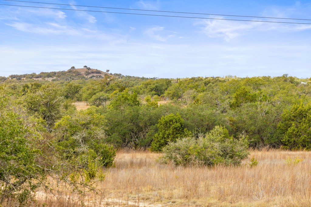 232 Crooked Oak Round Mountain, TX 78663 - Photo 5 of 40 View of tree filled area
