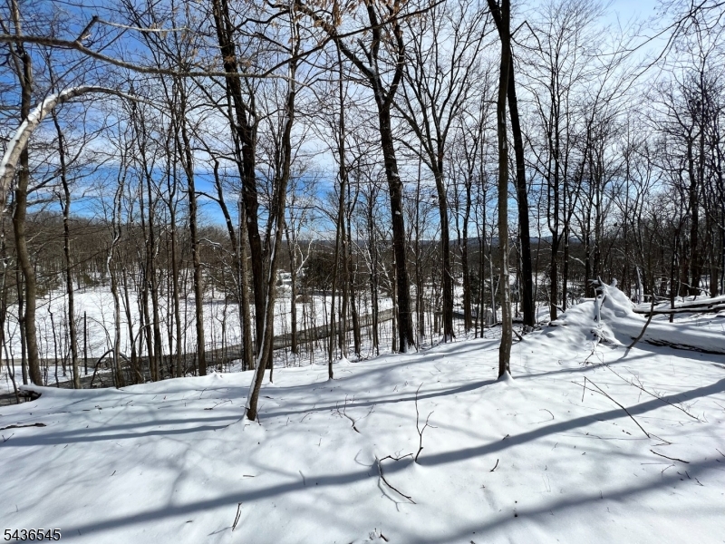 76 Monroe Road Lafayette, NJ 07848 - Photo 6 of 10