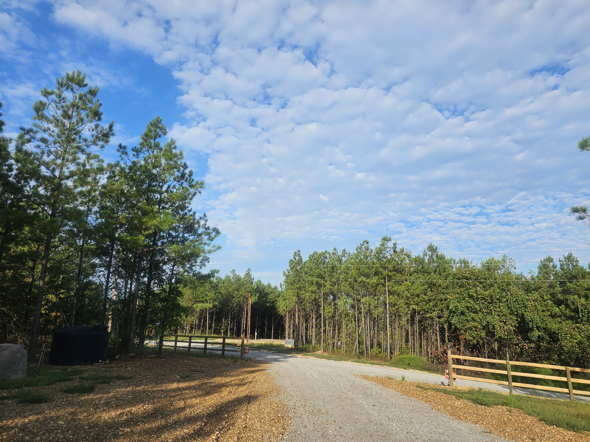 6691 Old Hohenwald Road Linden, TN 37096 - Photo 3 of 20 Gallery Image 3