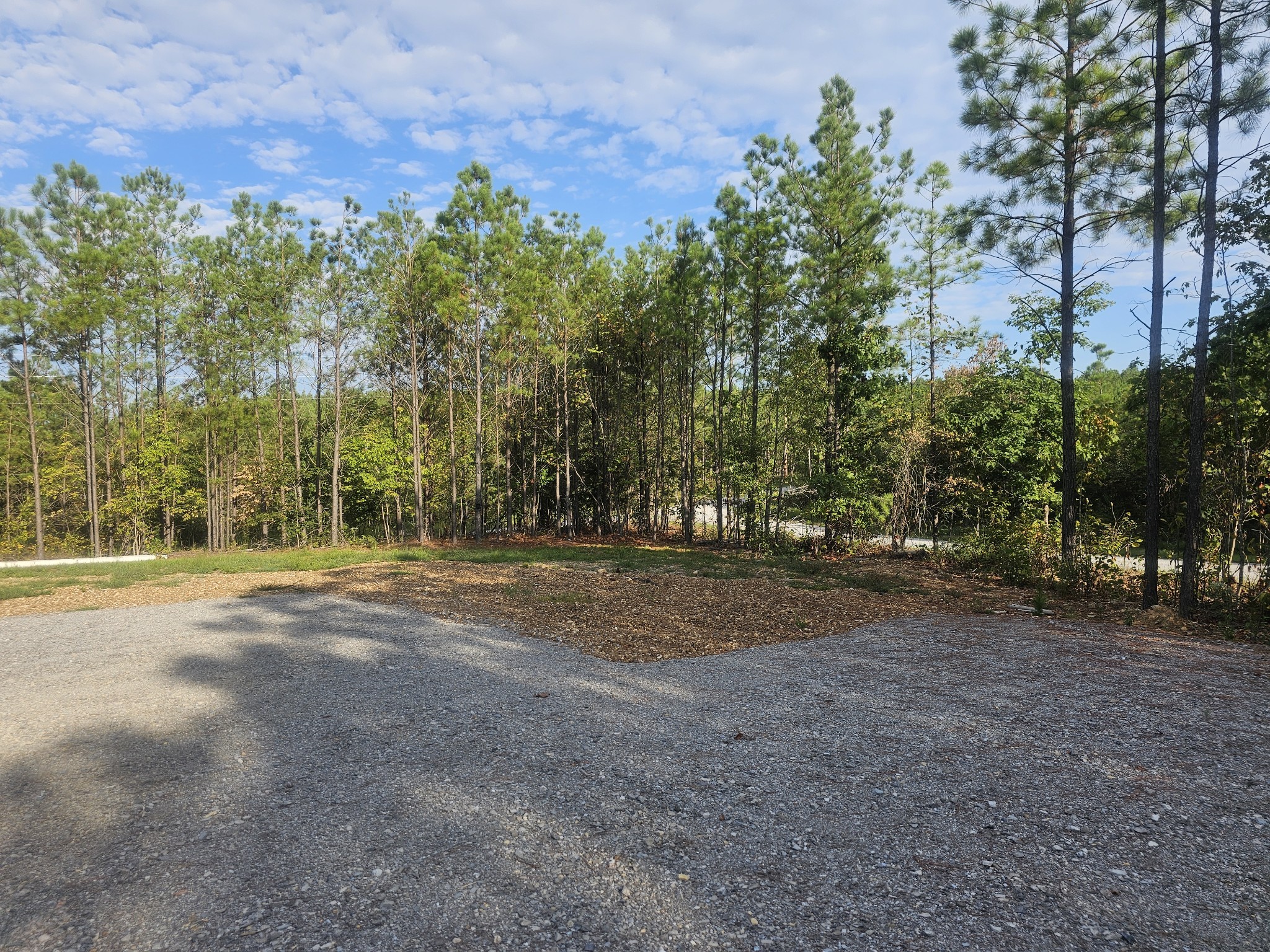 6691 Old Hohenwald Road Linden, TN 37096 - Photo 10 of 20 Gallery Image 10