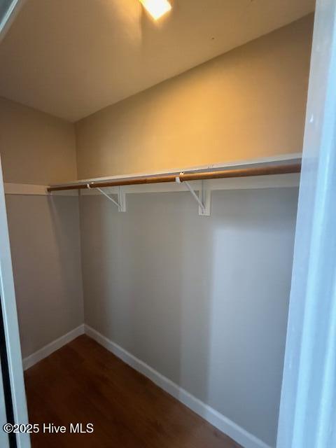 502 Stately Pines Road New Bern, NC 28560 - Photo 32 of 45 walk in closet in primary