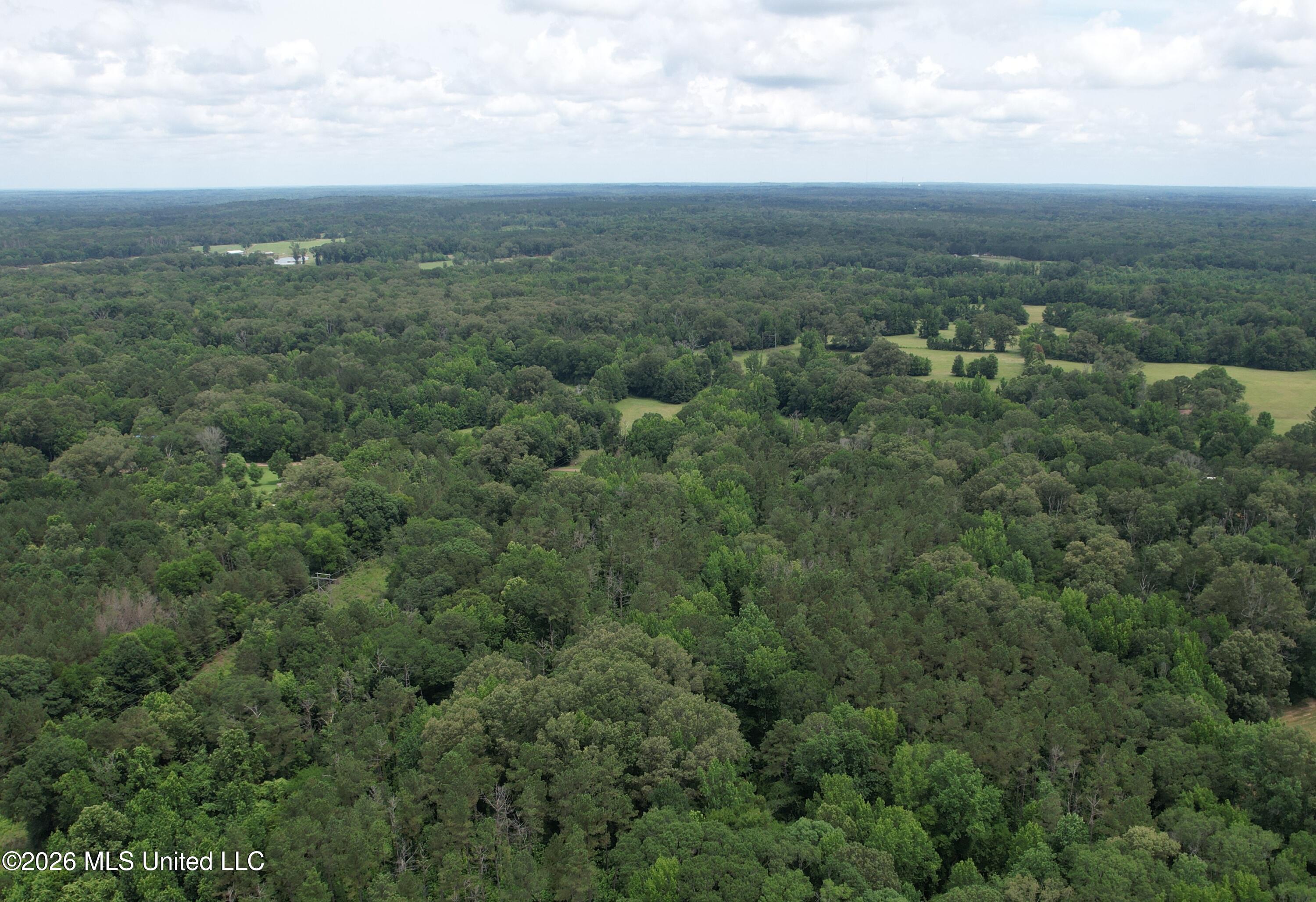 Rhymes Road Crystal Springs, MS 39059 - Photo 5 of 6 Lot2b