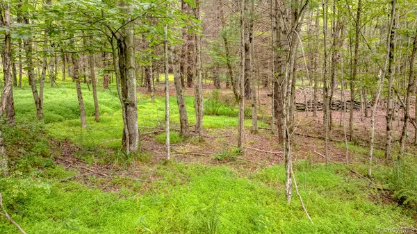 a view of outdoor space