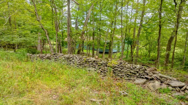a view of yard with tree