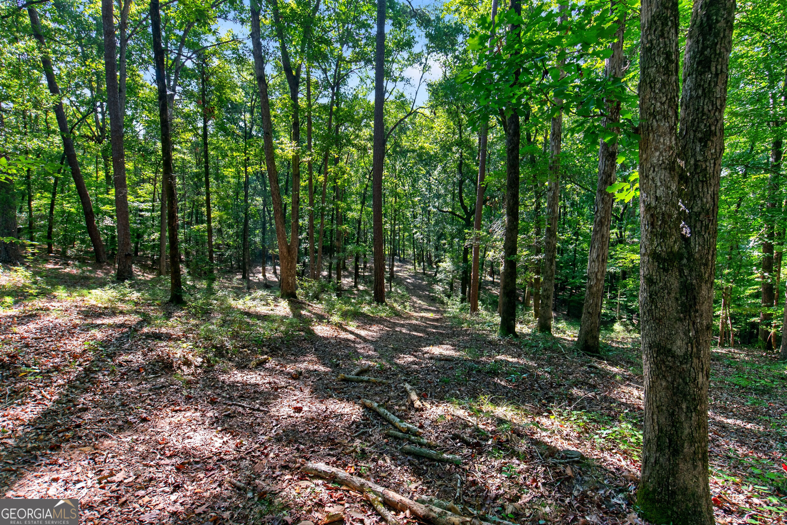 2 Salem Road LaGrange, GA 30241 - Photo 16 of 26 Gallery Image 16