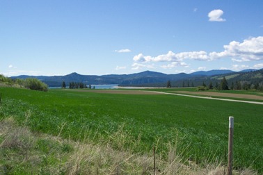 0 Lot 9 Lantzy Road Hunters, WA 99137 - Photo 3 of 3 Gallery Image 3