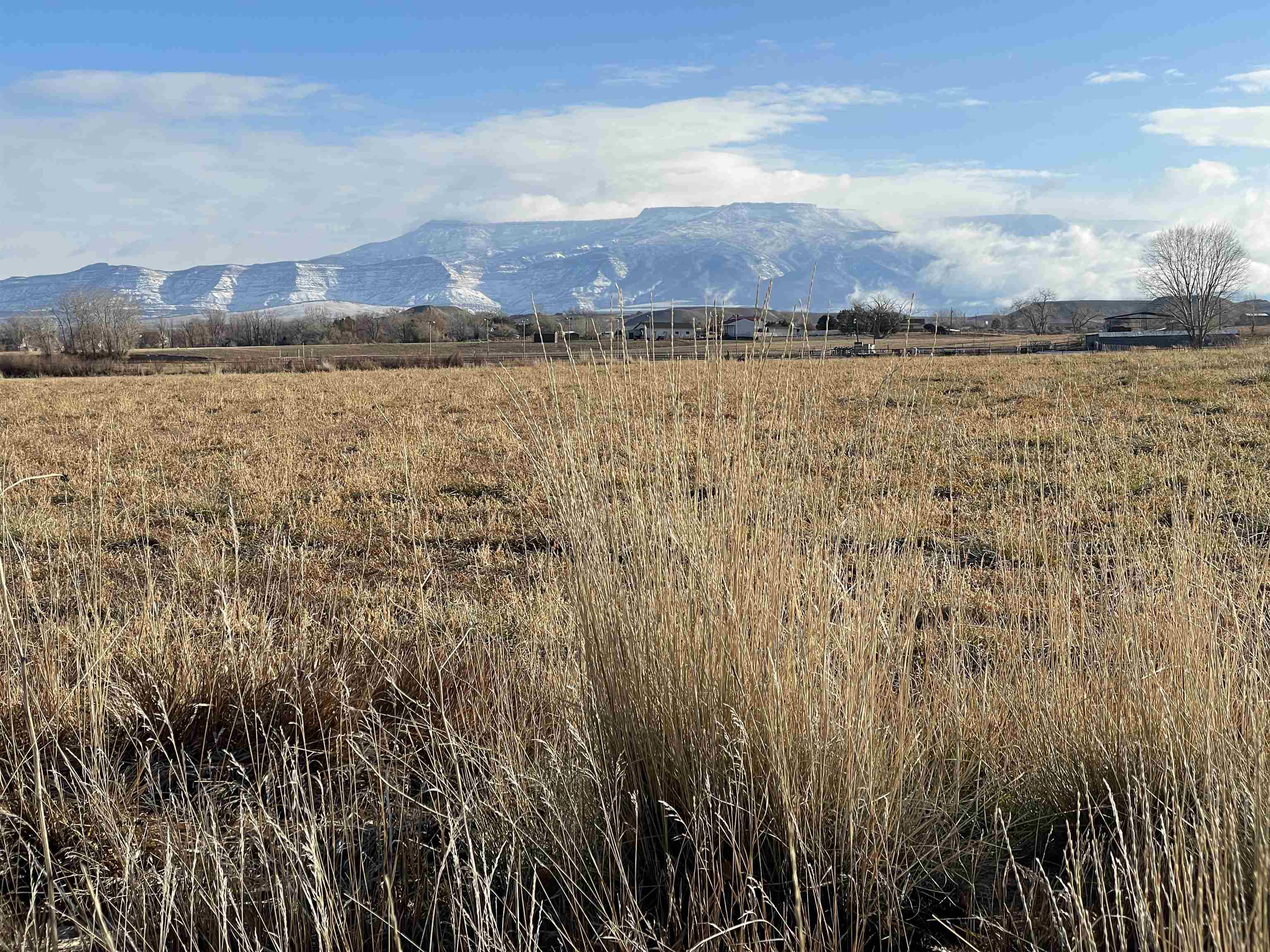170 31 Road Grand Junction, CO 81503 - Photo 3 of 5 Gallery Image 3
