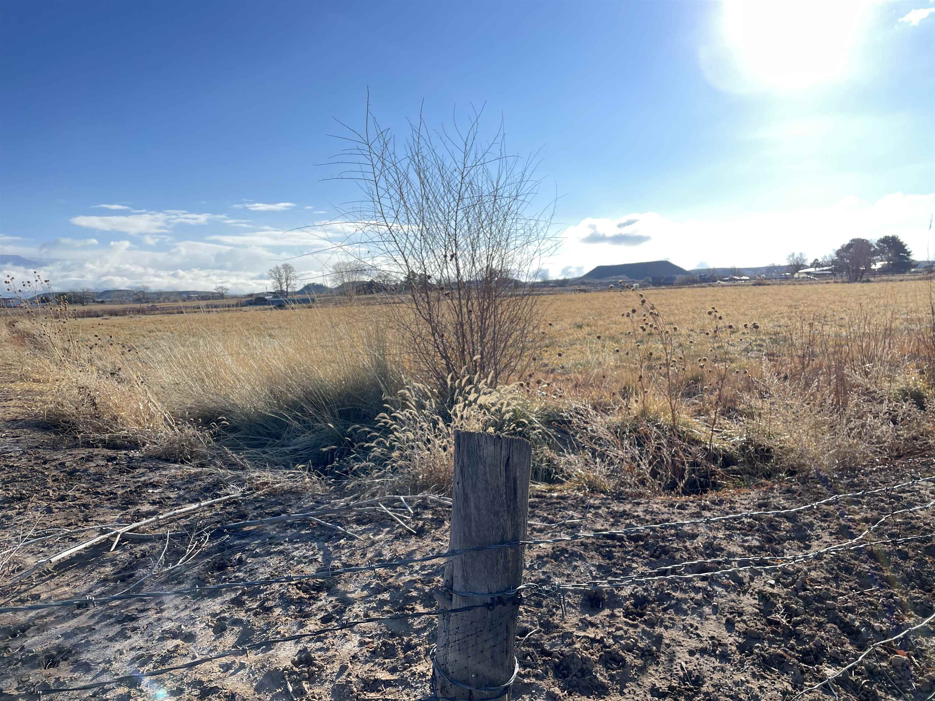 170 31 Road Grand Junction, CO 81503 - Photo 5 of 5 Gallery Image 5