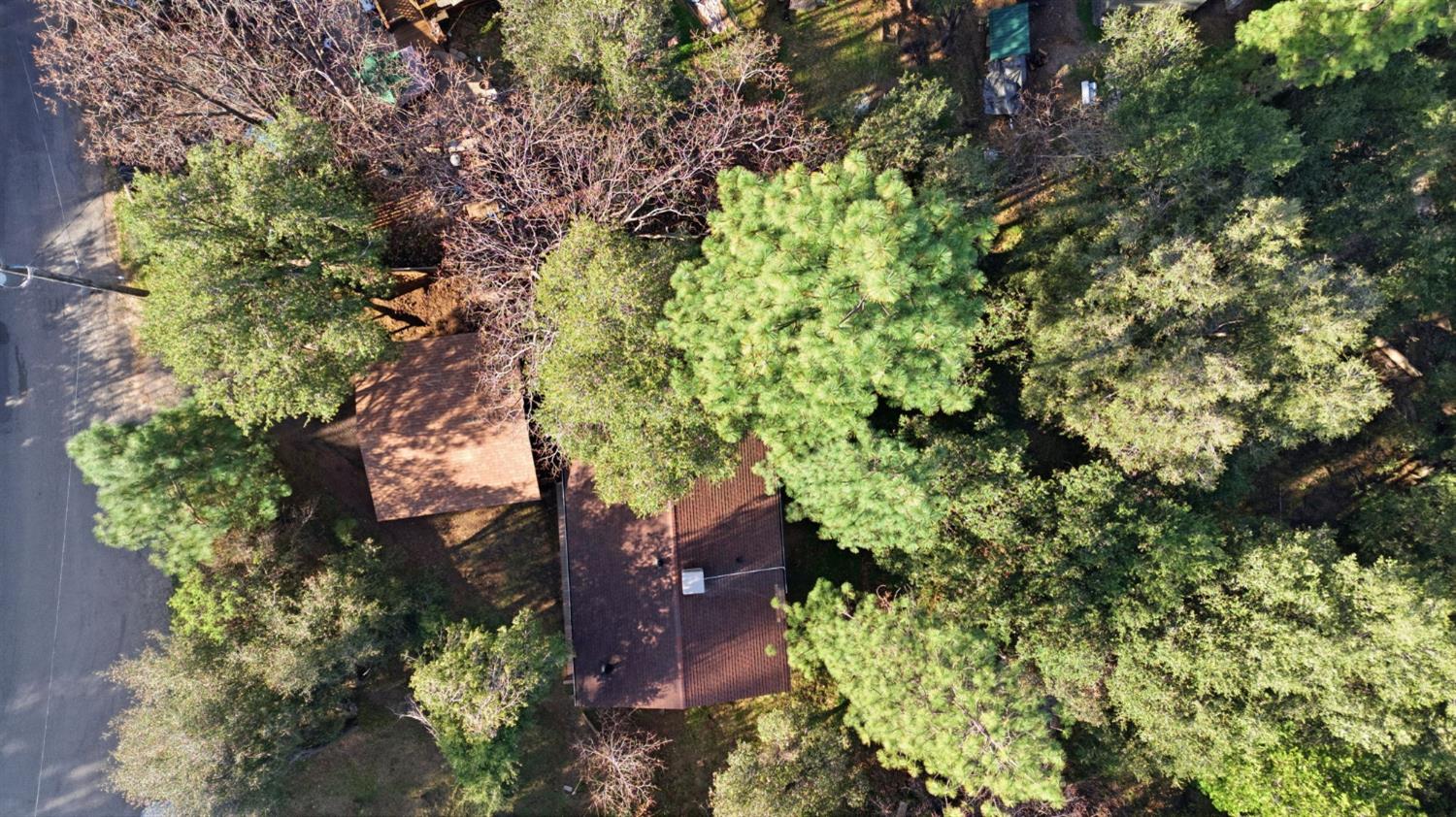 19088 Hillhaven Road Tuolumne, CA 95379 - Photo 24 of 27 a picture of trees