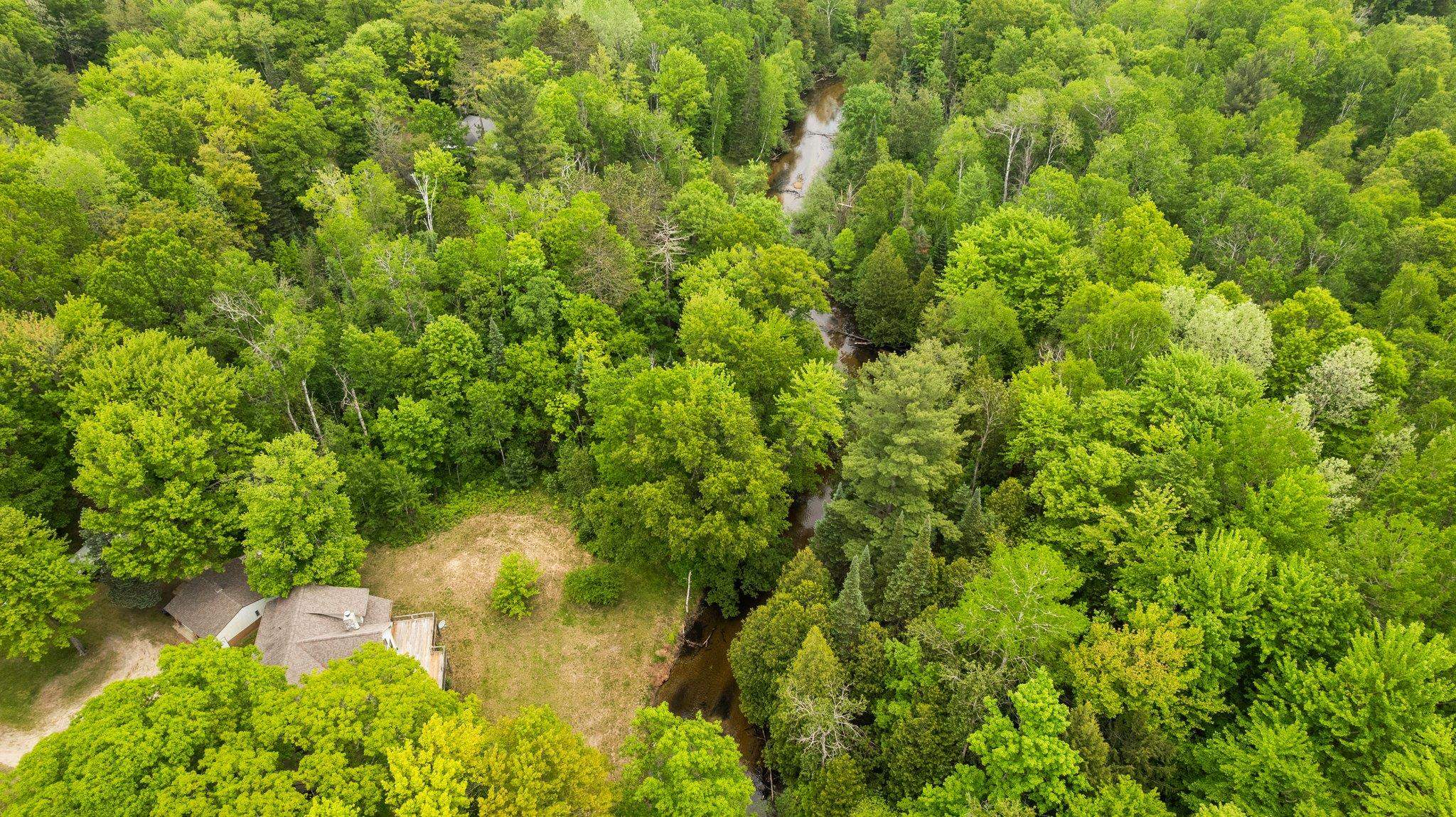 8415 West Workman Road Lake City, MI 49651 - Photo 74 of 83