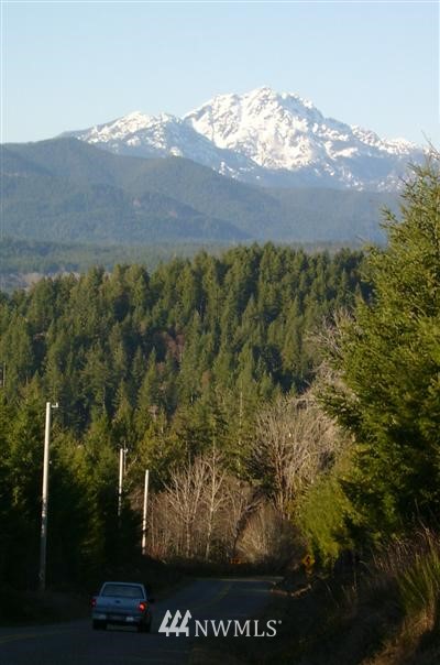 3074 Northeast Dewatto Road Tahuya, WA 98588 - Photo 1 of 1 Gallery Image 1