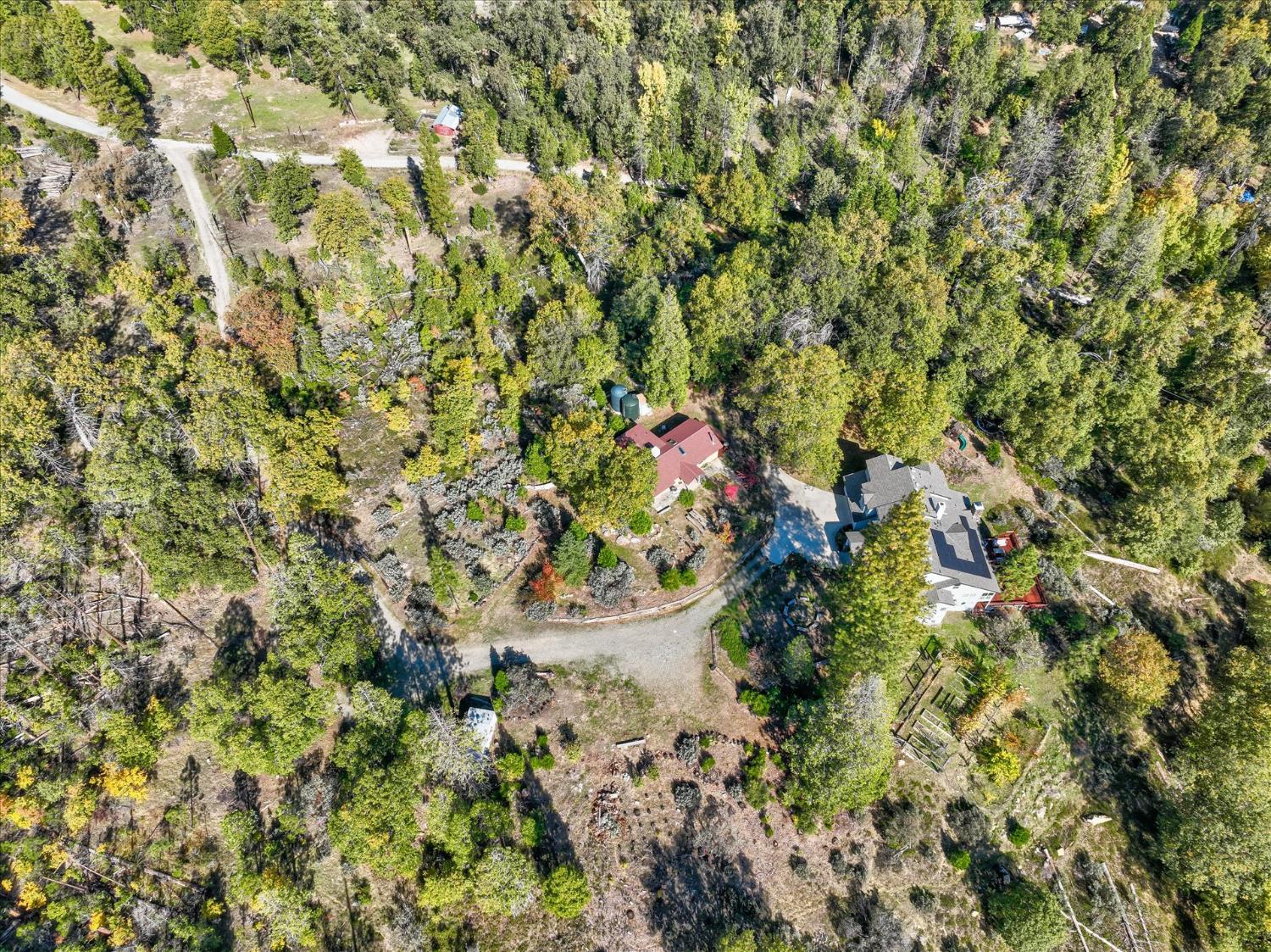 59484 Cascadel Road North Fork, CA 93643 - Photo 93 of 95