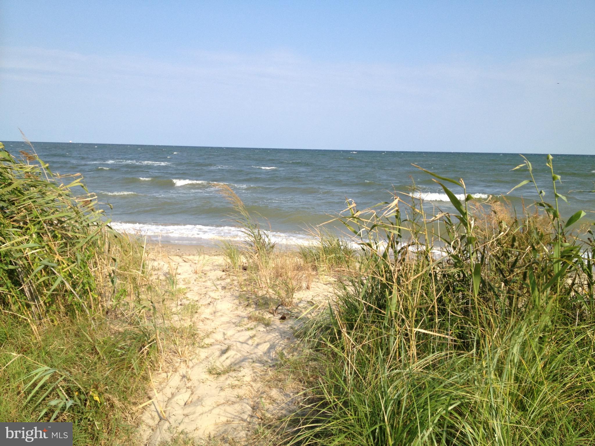 16721 St Jeromes Neck Road Dameron, MD 20628 - Photo 112 of 133 Private Beach