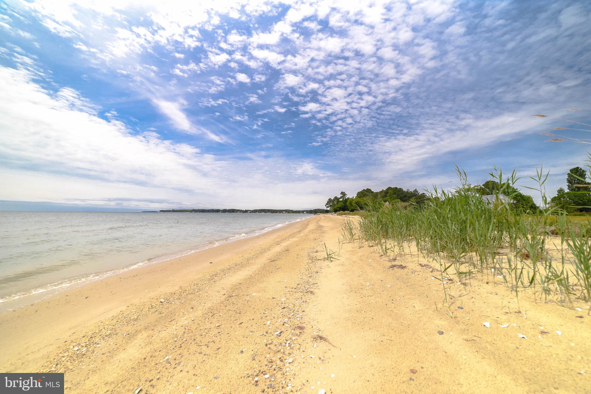 16721 St Jeromes Neck Road Dameron, MD 20628 - Photo 89 of 133 Private beach