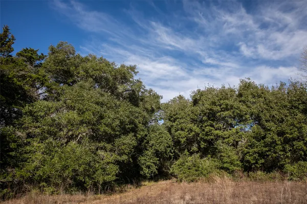 $895,000 | 11107 Mt Falls School Road, Washington, TX 77880