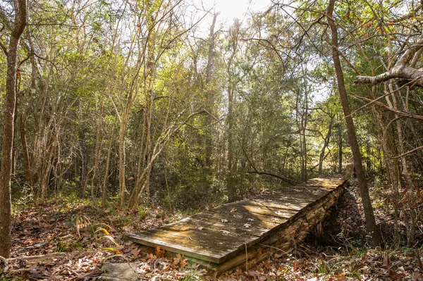 $895,000 | 11107 Mt Falls School Road, Washington, TX 77880