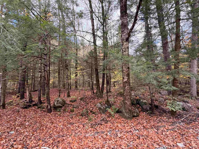 $47,000 | 2 Ward Brook Road, Middlesex, VT 05602