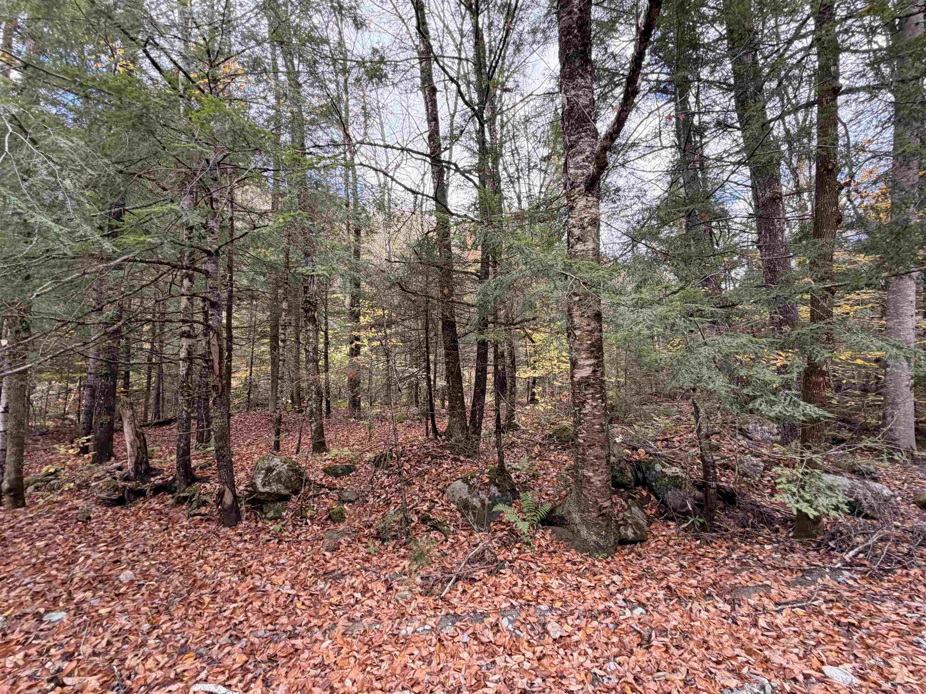 2 Ward Brook Road Middlesex, VT 05602 - Photo 2 of 10