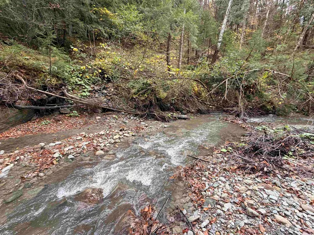 $47,000 | 2 Ward Brook Road, Middlesex, VT 05602