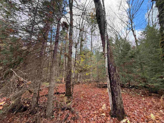 $47,000 | 2 Ward Brook Road, Middlesex, VT 05602